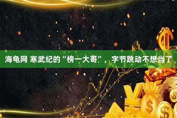 海龟网 寒武纪的“榜一大哥”，字节跳动不想当了