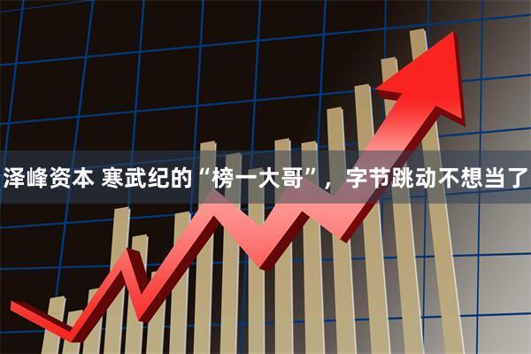 泽峰资本 寒武纪的“榜一大哥”，字节跳动不想当了