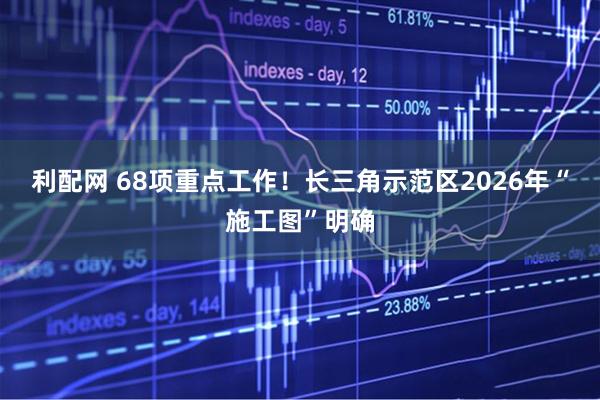利配网 68项重点工作！长三角示范区2026年“施工图”明确