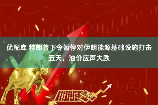 优配库 特朗普下令暂停对伊朗能源基础设施打击五天，油价应声大跌