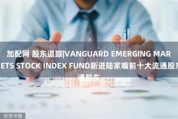 加配网 股东追踪|VANGUARD EMERGING MARKETS STOCK INDEX FUND新进陆家嘴前十大流通股东
