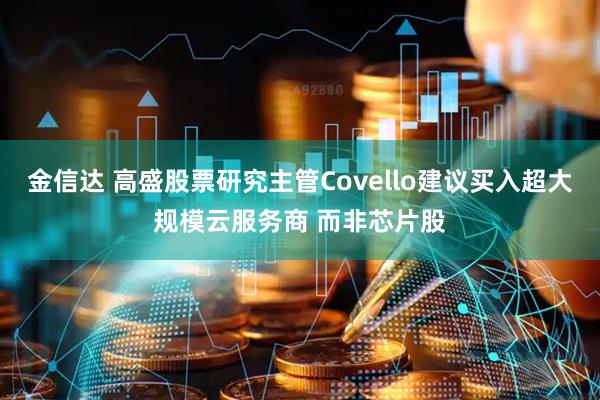 金信达 高盛股票研究主管Covello建议买入超大规模云服务商 而非芯片股