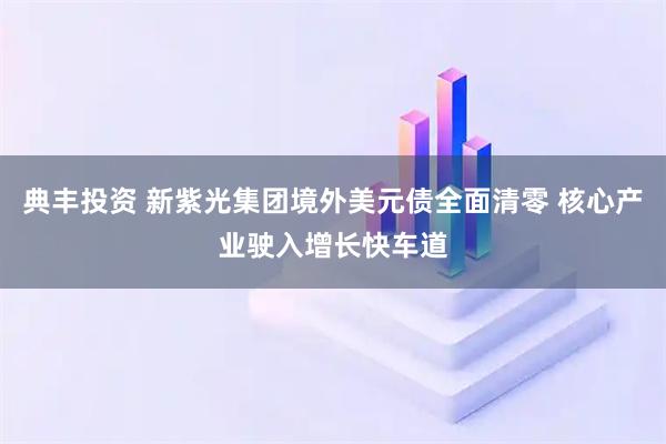 典丰投资 新紫光集团境外美元债全面清零 核心产业驶入增长快车道